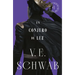 Conjuro de Luz (Sombras de Magia 3)