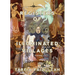 Registers of Illuminated Villages: Poems