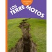 Curiosidad Por Los Terremotos