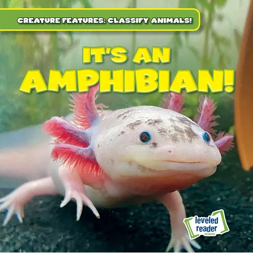 It's an Amphibian!