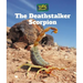 The Deathstalker Scorpion