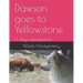 Dawson goes to Yellowstone