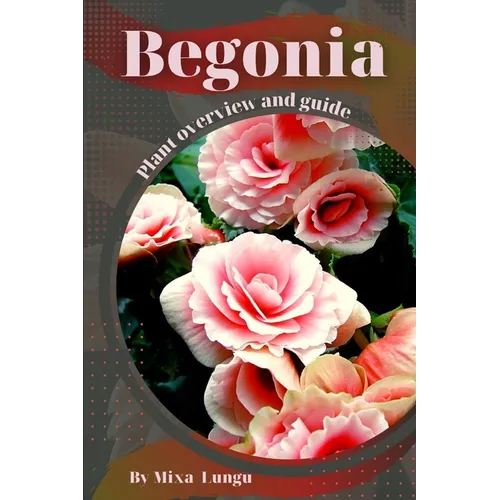 Begonia: Plant overview and guide