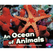 An Ocean of Animals