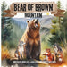 Bear of Brown Mountain