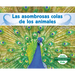 Las Asombrosas Colas de Los Animales (Different Tails of Animals)