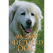 Holy Spirit Shepherd Dog