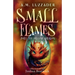 Small Flames Jory the Orange Dragon
