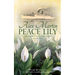 Peace Lily