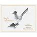 Rocky the Roadrunner: My Life with a Wild Bird