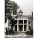 Sugar, Planters, Slaves, and Convicts