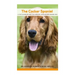 The Cocker Spaniel: A Vet's Guide on How to Care for your Cocker Spaniel Dog