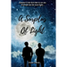A Surplus of Light: A Gay Coming-of-Age Tale