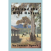 Jill and the Wild Horses