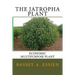 The Jatropha Plant