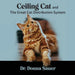 Ceiling Cat and the Great Cat Distribution System