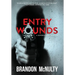 Entry Wounds: A Supernatural Thriller