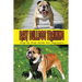 Easy Bulldog Training: Step-by-Step Guide For Beginners: Bulldog Dog Breed Information