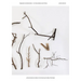 Jimmie Durham & a Stick in the Forest by the Side of the Road: Separation and Distinctions - On Turtles, Bosons and Theory
