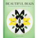 Beautiful Bugs: A Curious Collection of Exquisite Insects