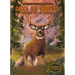 Caza de Ciervos: Rescate En Las Rocosas (Deer Hunt: Rescue in the Rockies): Rescate En Las Rocosas