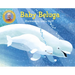 Baby Beluga