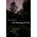 The Meaning of It All: Ultimate Meaning, Everyday Meaning, Cosmic Meaning, Death, and Time