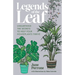 Legends of the Leaf: Unearthing the secrets to help your houseplants thrive