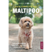 Guía completa del Maltipoo: Todo lo que necesitas saber antes de adquirir tu perro Maltipoo