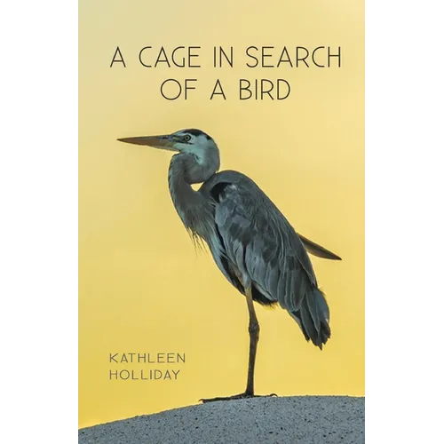 A Cage in Search of a Bird