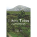 I Arise Today: A 40 Day Journey Through St. Patrick's Breastplate Prayer