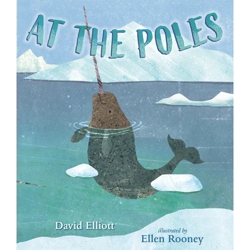 At the Poles
