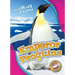 Emperor Penguins