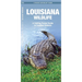 Louisiana Wildlife: A Folding Pocket Guide to Familiar Animals