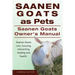 Saanen Goats as Pets. Saanen Goats Owners Manual. Saanen Goats care, housing, interacting, feeding and health.