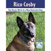 Rico Cosby: The Heroic Work of a Mine Detection Dog