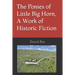 The Ponies of Little Big Horn, A Work of Historic Fiction