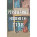 Perseverance Flooded the Streets