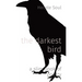 The darkest bird: a slim book of poetry