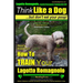 Lagotto Romagnolo, Lagotto Romagnolo Training AAA AKC: Think Like a Dog, but Don't Eat Your Poop! Lagotto Romagnolo Breed Expert Training: Here's EXAC