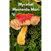 Mycelial Memento Mori