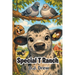 Special T Ranch