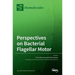 Perspectives on Bacterial Flagellar Motor