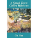 A Small Town Called Hibiscus