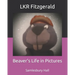 Beaver's Life in Pictures: Samlesbury Hall