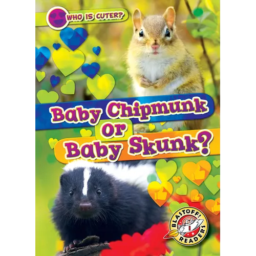 Baby Chipmunk or Baby Skunk?