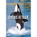 Orcas Attack