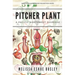 Pitcher Plant