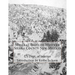 Mineral Belts of Western Sierra County New Mexico