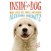 Inside of a Dog: What Dogs See, Smell, and Know